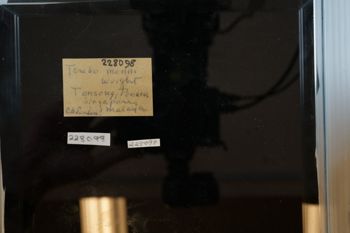 Media type: image;   Malacology 228098 Description: Digital documentation photo of preserved specimen.;